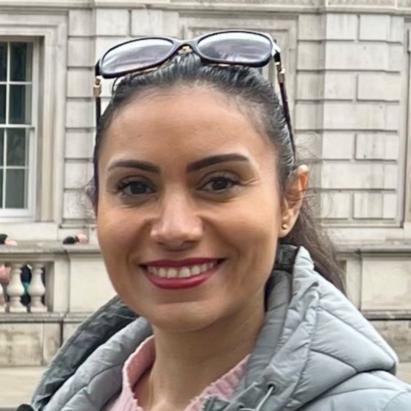Dr. Soulmaz Gheisari